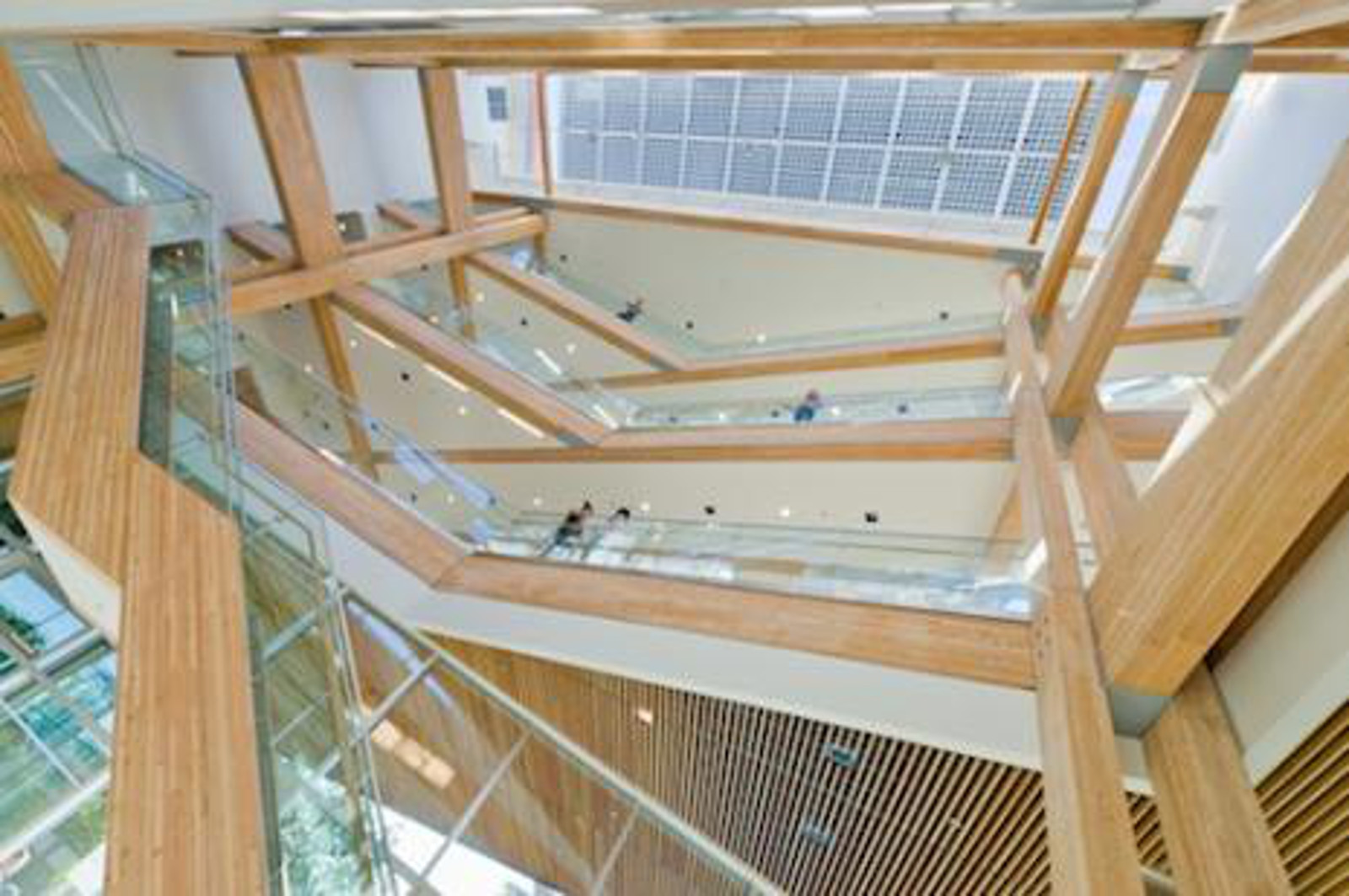 Uses Of Wood In The Cirs Building 